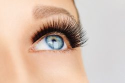 Female eye with extreme long false eyelashes